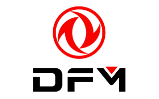 DFM Logo
