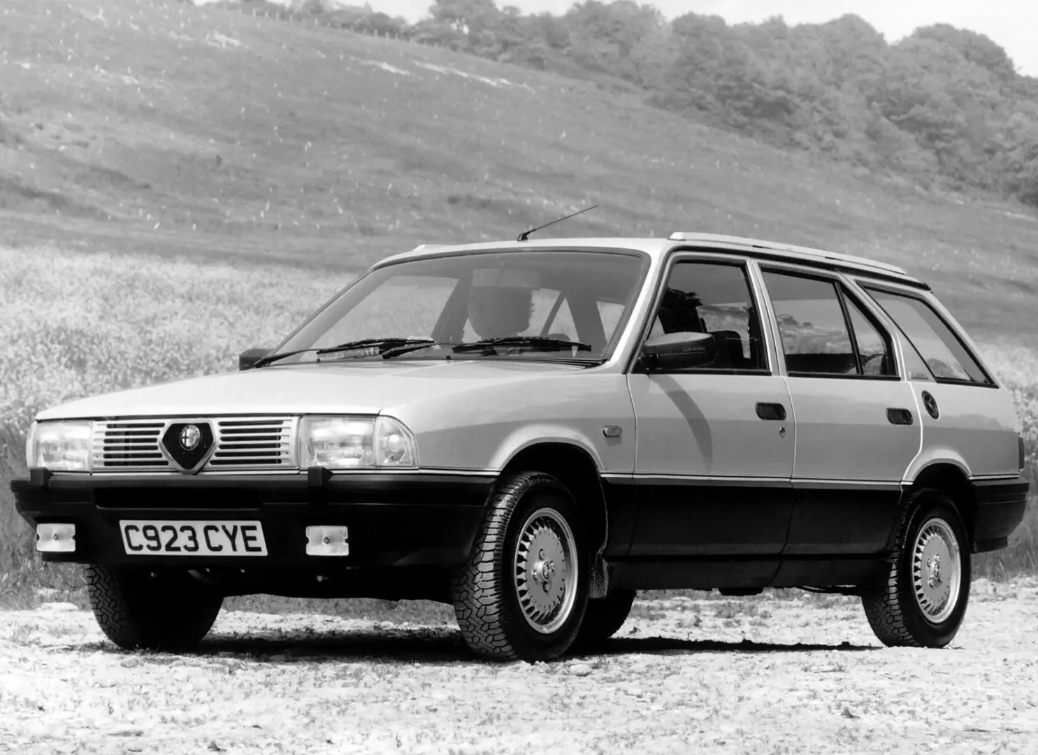 Alfa Romeo 33 33 1.5 4x4 Giardinetta 4