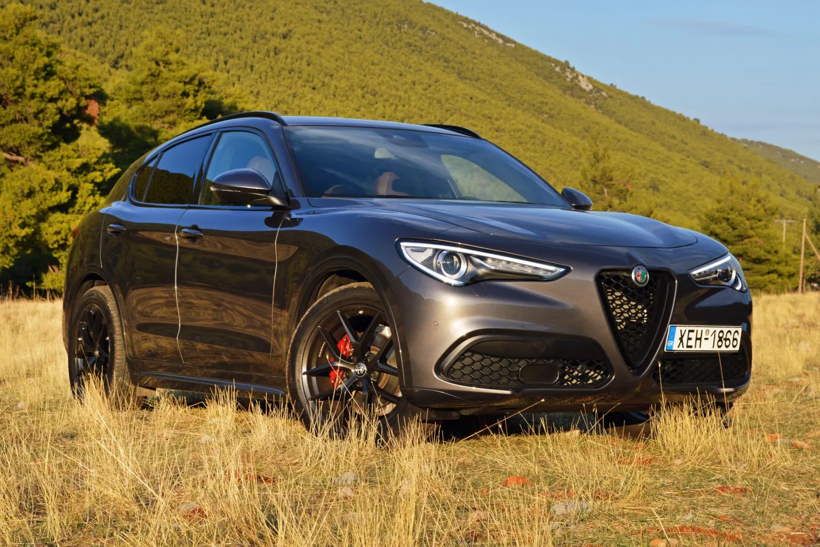 Alfa Romeo Stelvio Stelvio 2.0 AWD Veloce 3