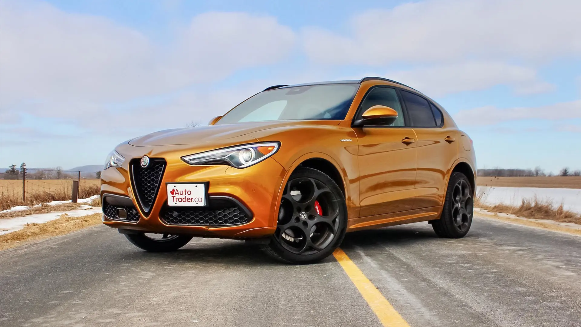Alfa Romeo Stelvio Stelvio 2.0 AWD Veloce 1