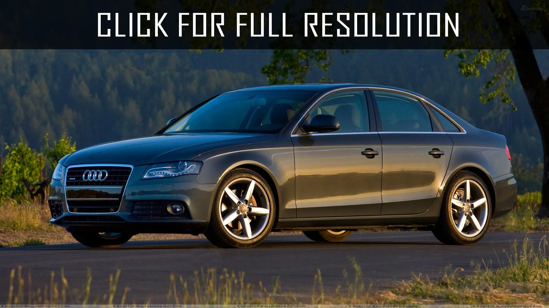 Audi A4 A4 Sedan 2.0 TDI Multitronic 1