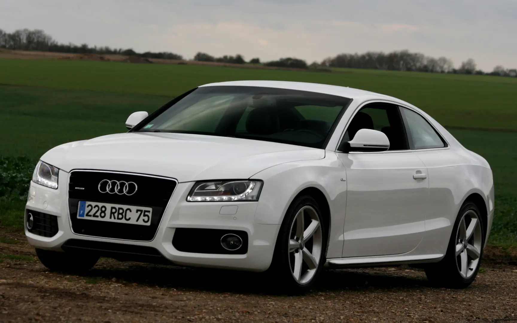 Audi A5 A5 3.0 TDI Quattro S-Tronic 6