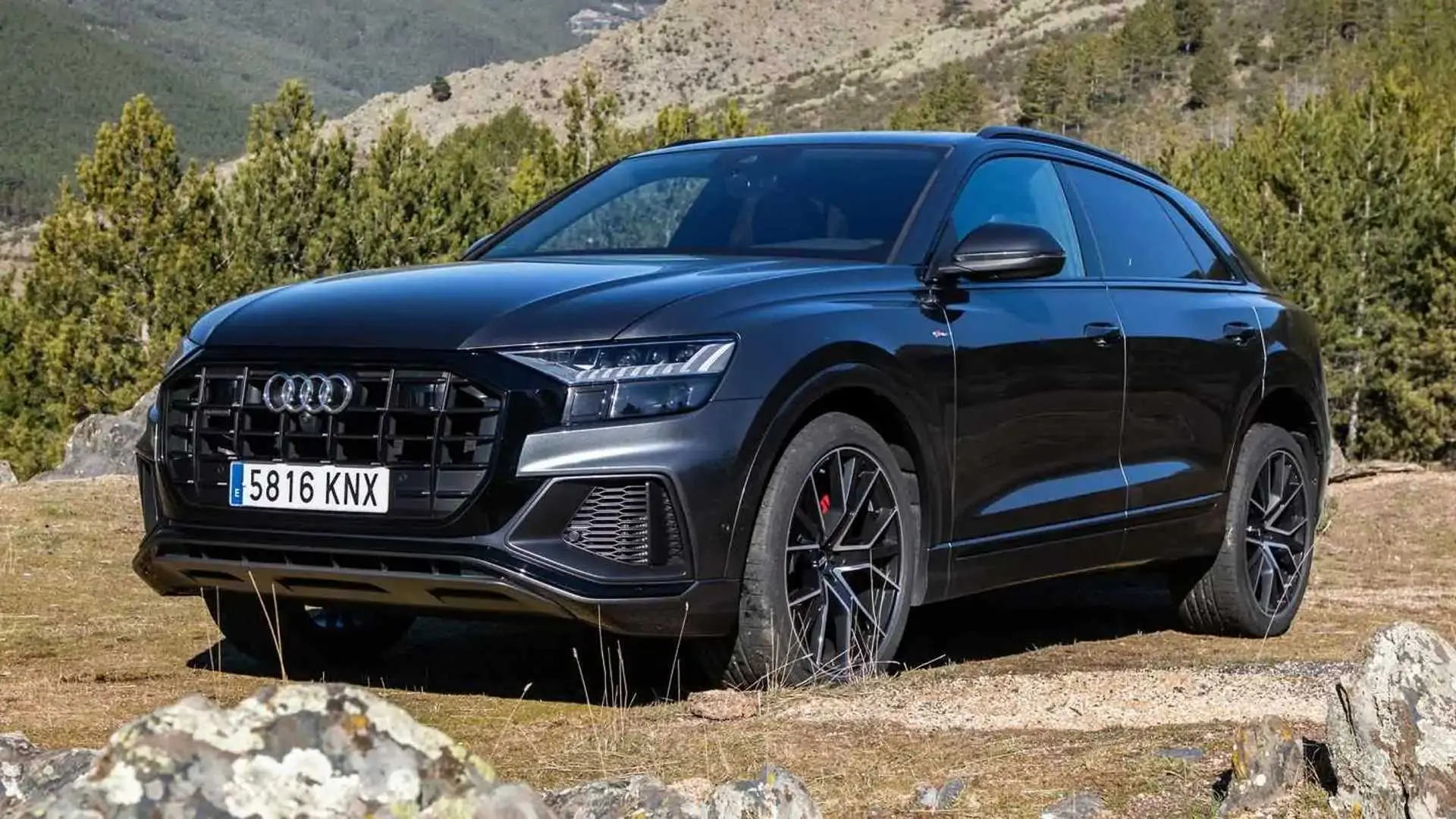 Audi Q8 Q8 50 TDI V6 Quattro Tiptronic 0