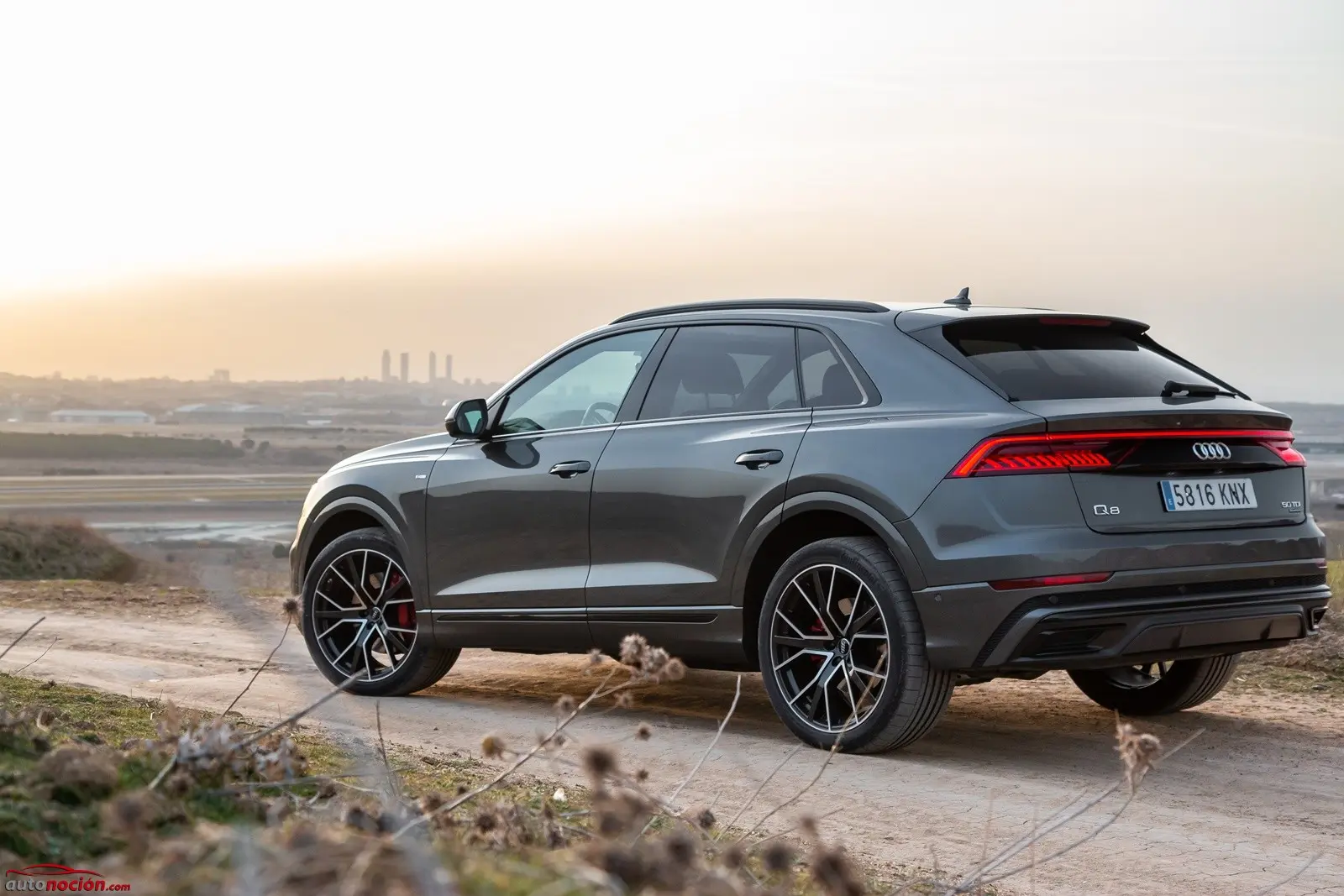 Audi Q8 Q8 50 TDI V6 Quattro Tiptronic 5