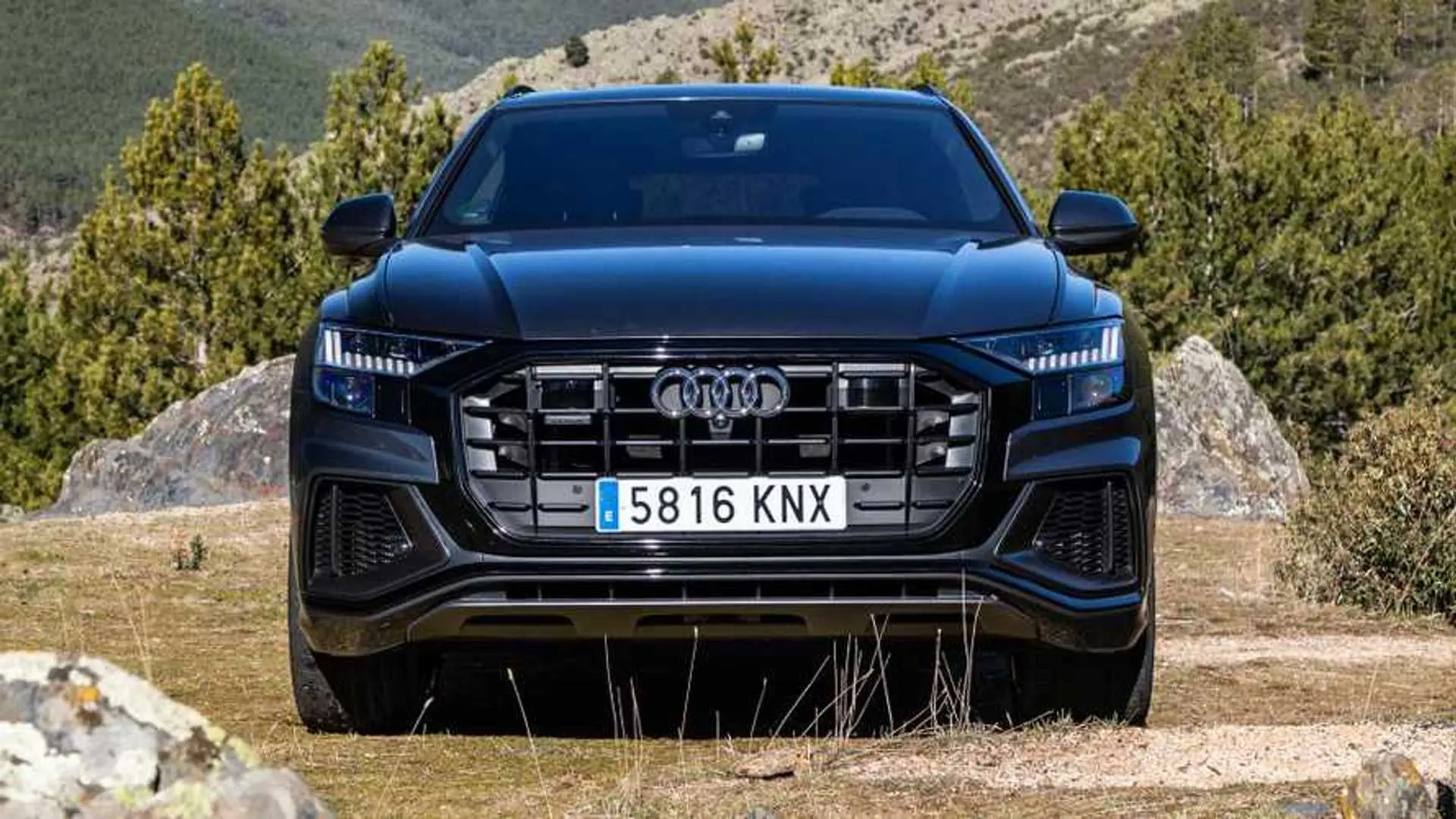 Audi Q8 Q8 50 TDI V6 Quattro Tiptronic 6