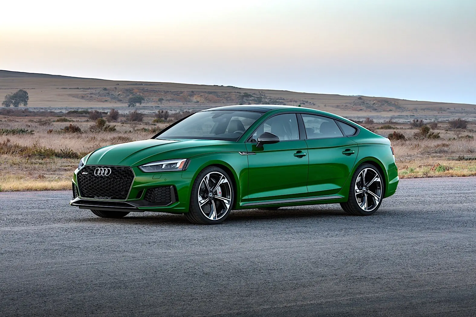 Audi RS RS5 3.0 TFSI Quattro (A5) 4