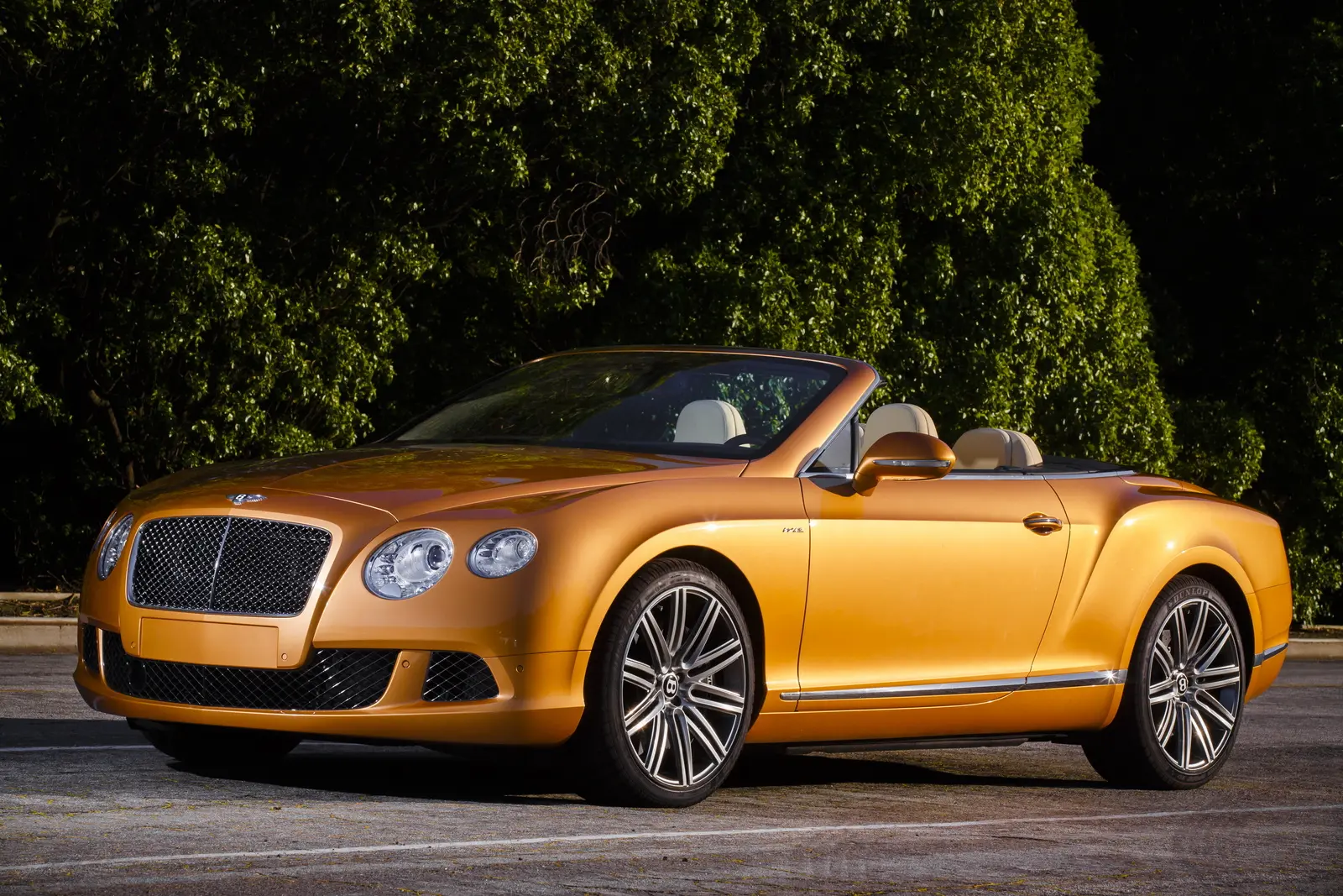 Bentley Continental Continental GTC 6.0 Speed 7
