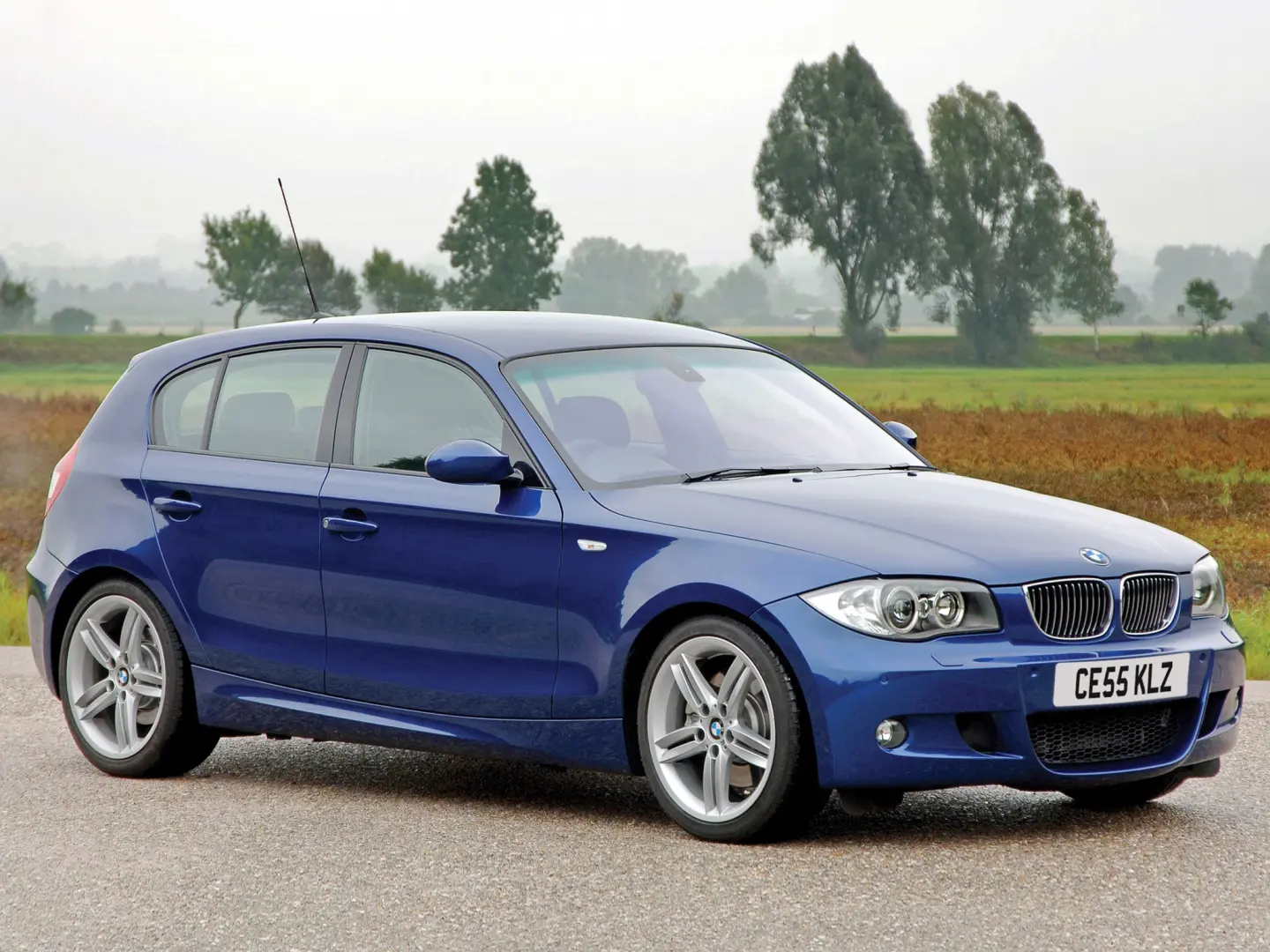 BMW 1 Serisi 1 Serisi 116i Standart 4