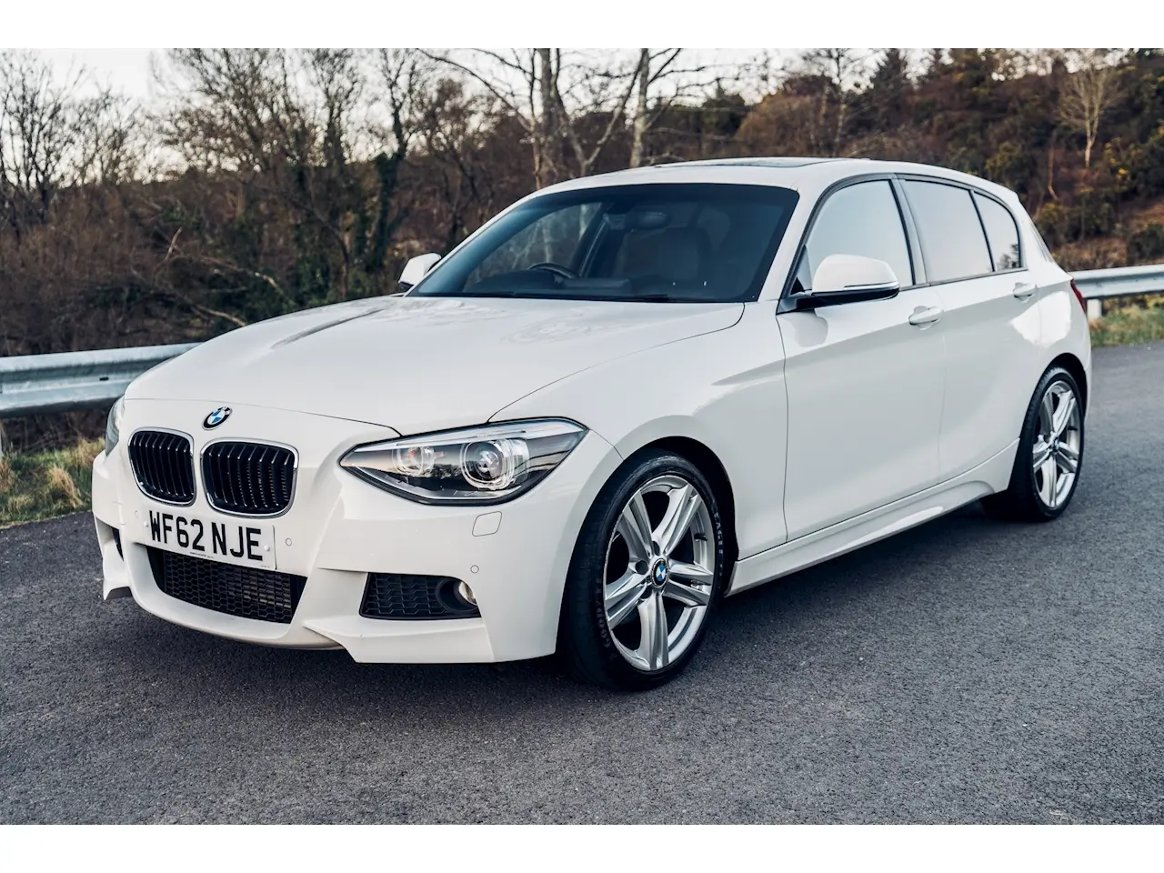 BMW 1 Serisi 1 Serisi 120d Premium 3