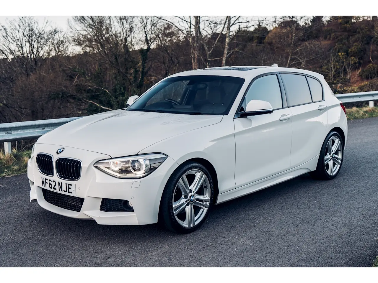 BMW 1 Serisi 1 Serisi 120d Standart 6