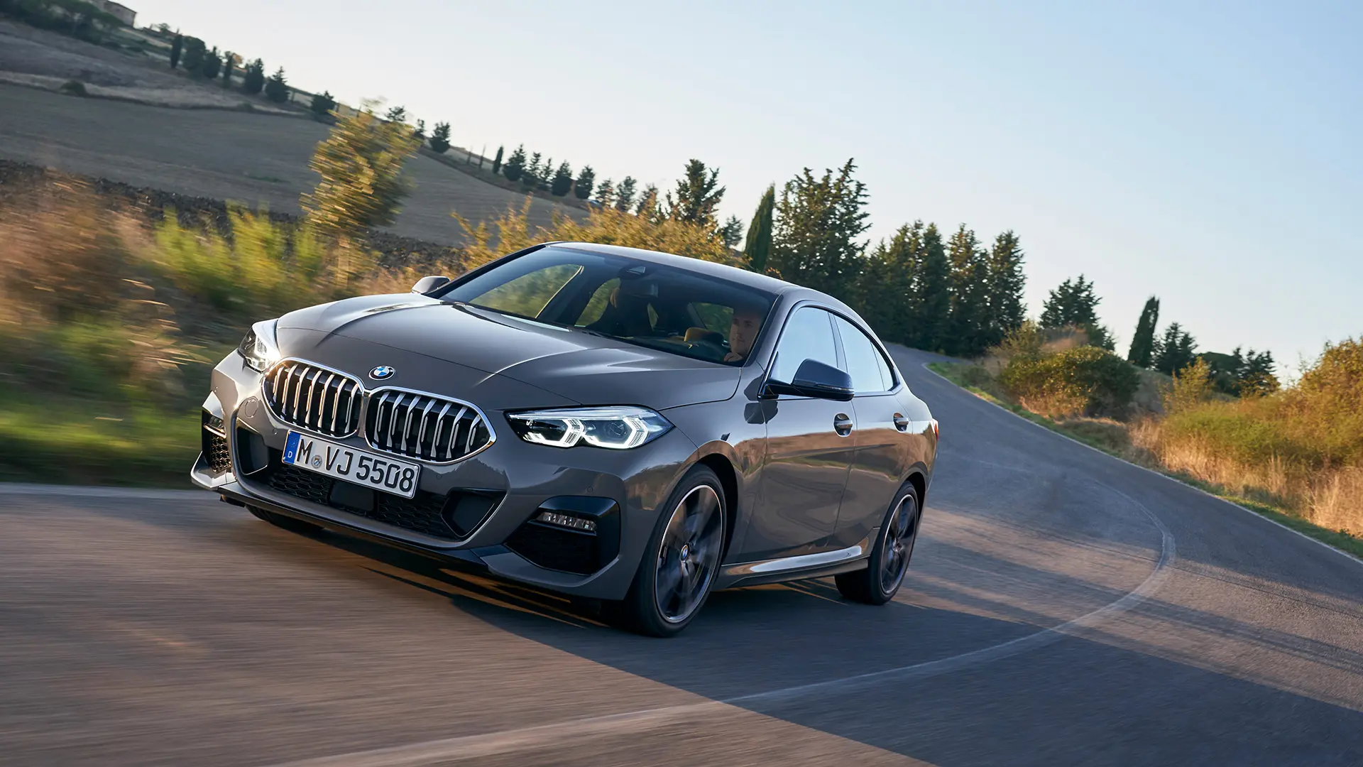 BMW 2 Serisi 2 Serisi 216d Gran Coupe First Edition Luxury Line 4
