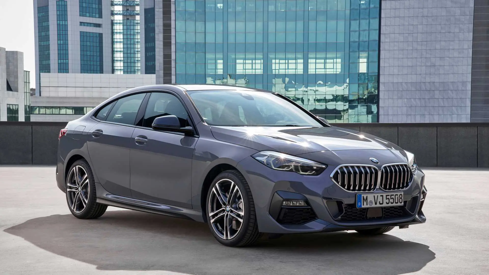 BMW 2 Serisi 2 Serisi 216d Gran Coupe First Edition Luxury Line 3