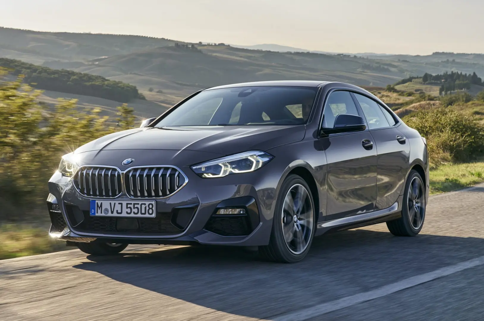 BMW 2 Serisi 2 Serisi 218i Gran Coupe Luxury Line 3