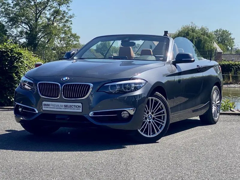 BMW 2 Serisi 2 Serisi 218i Luxury Line 2