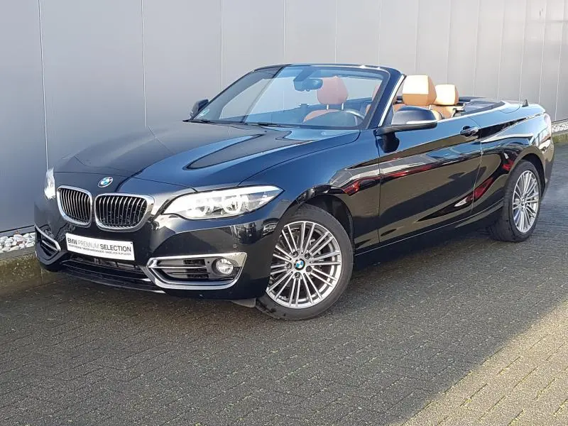 BMW 2 Serisi 2 Serisi 218i Luxury Line 4