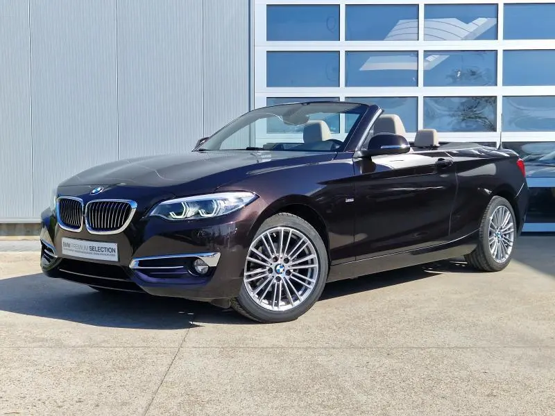 BMW 2 Serisi 2 Serisi 218i Luxury Line 6