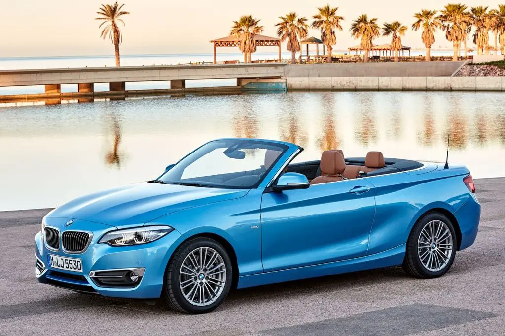 BMW 2 Serisi 2 Serisi 218i Pure 2