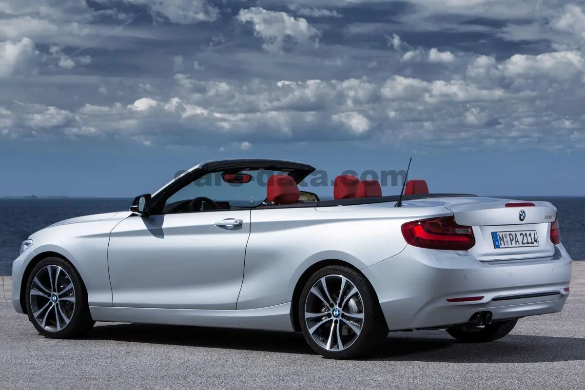 BMW 2 Serisi 2 Serisi 218i Techno 3