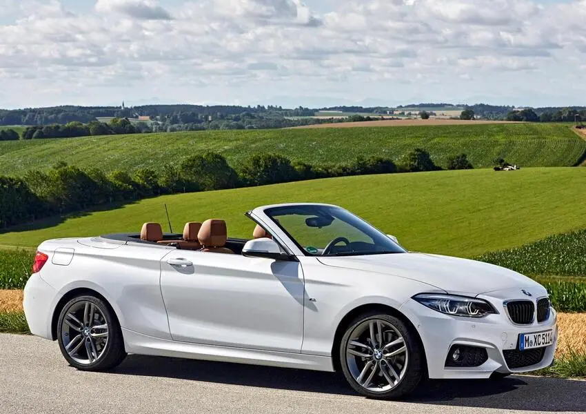 BMW 2 Serisi 2 Serisi 218i Pure 1