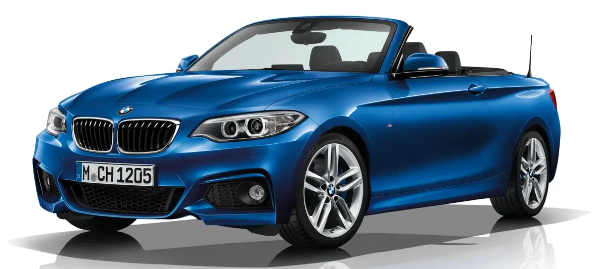 BMW 2 Serisi 2 Serisi 218i Techno 7