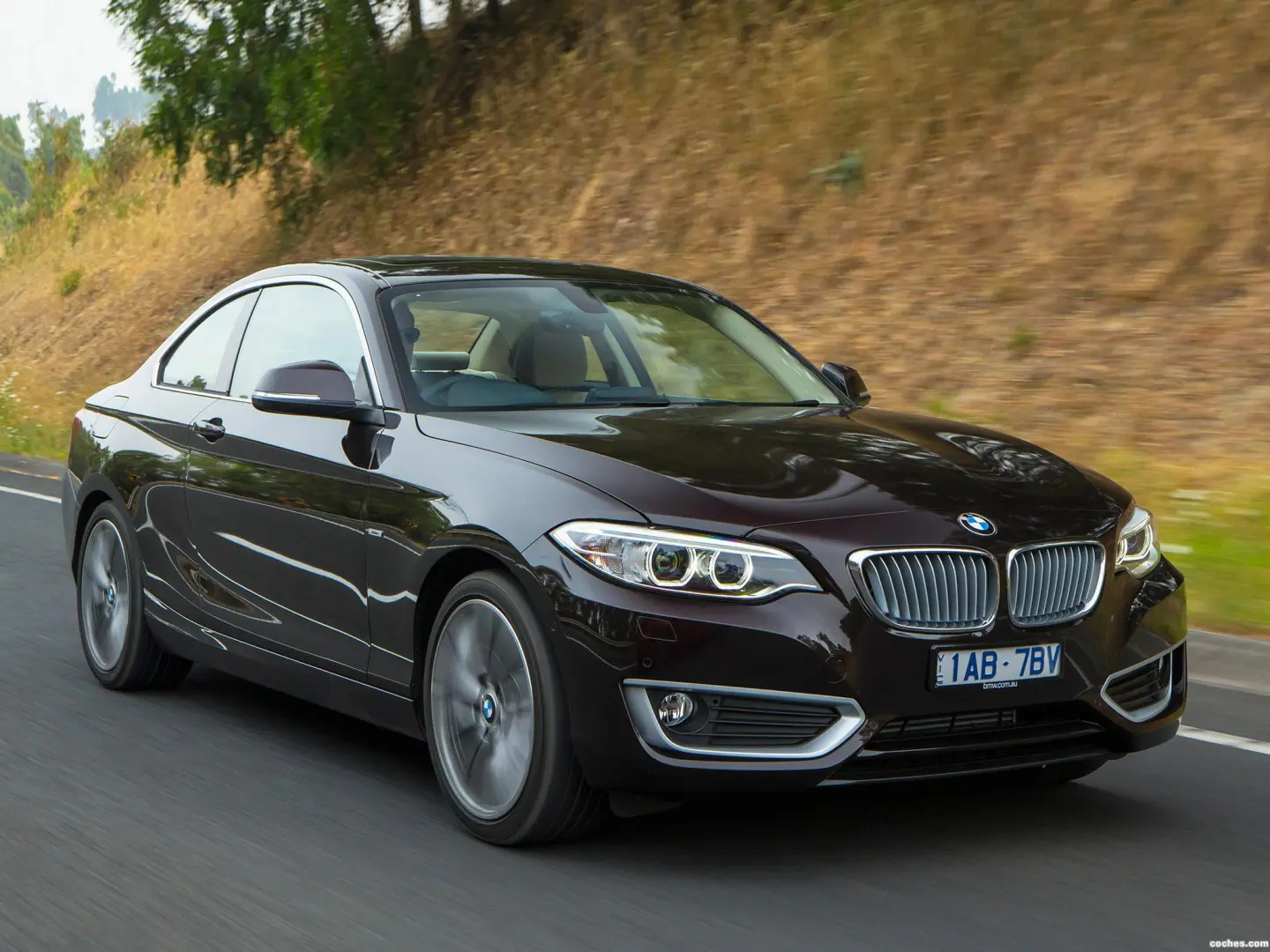 BMW 2 Serisi 2 Serisi 220d Standart 3