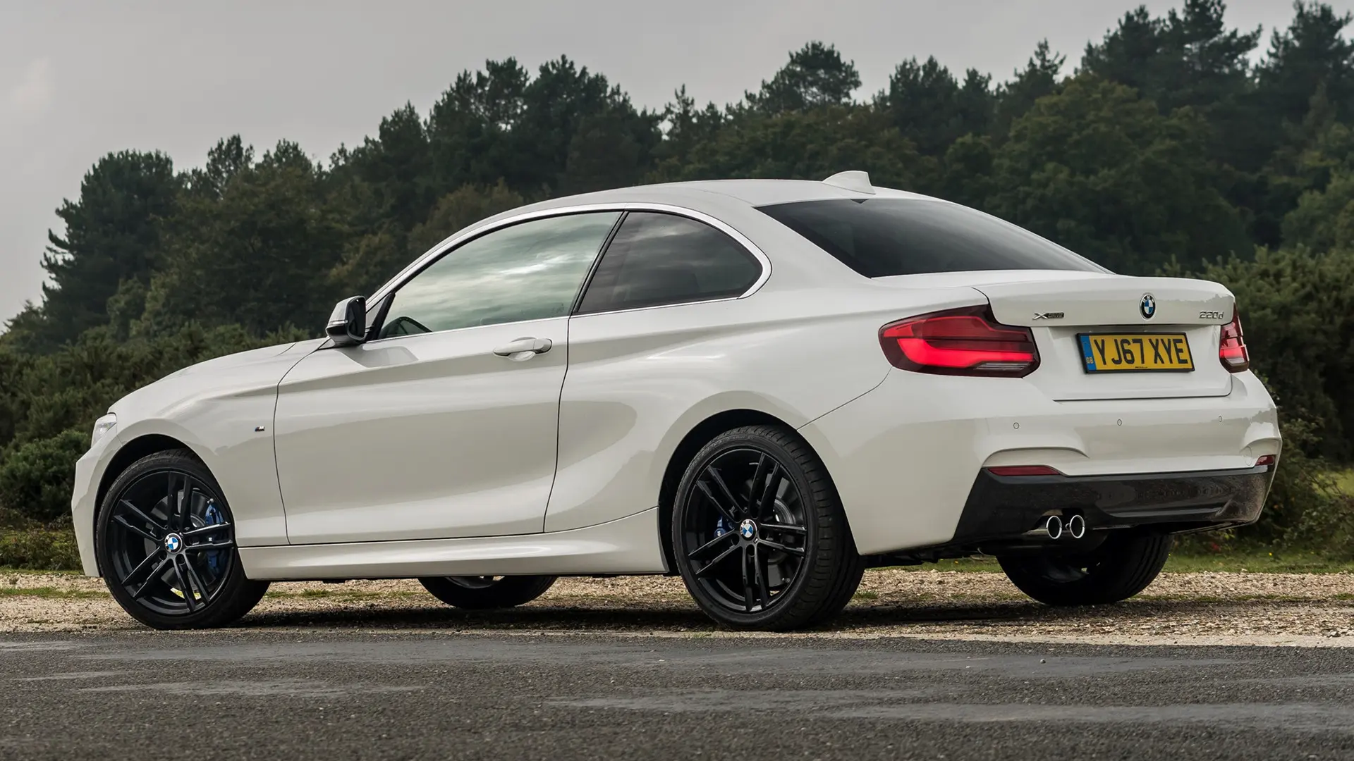 BMW 2 Serisi 2 Serisi 220d Sport Line 3
