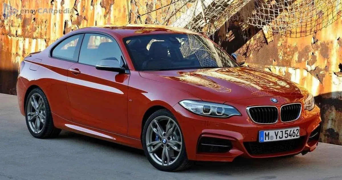 BMW 2 Serisi 2 Serisi 228i Standart 3