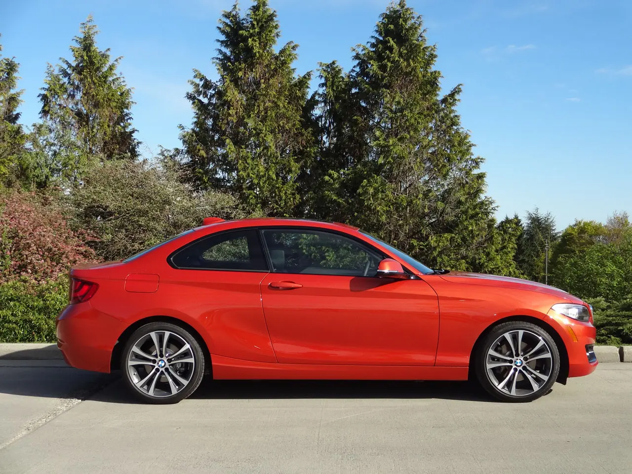 BMW 2 Serisi 2 Serisi 228i Standart 3