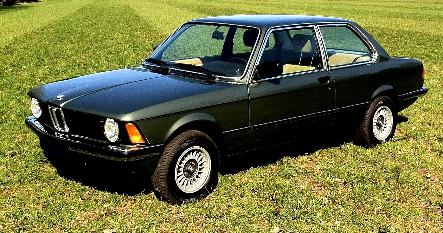 BMW 3 Serisi 3 Serisi 315 Standart 3