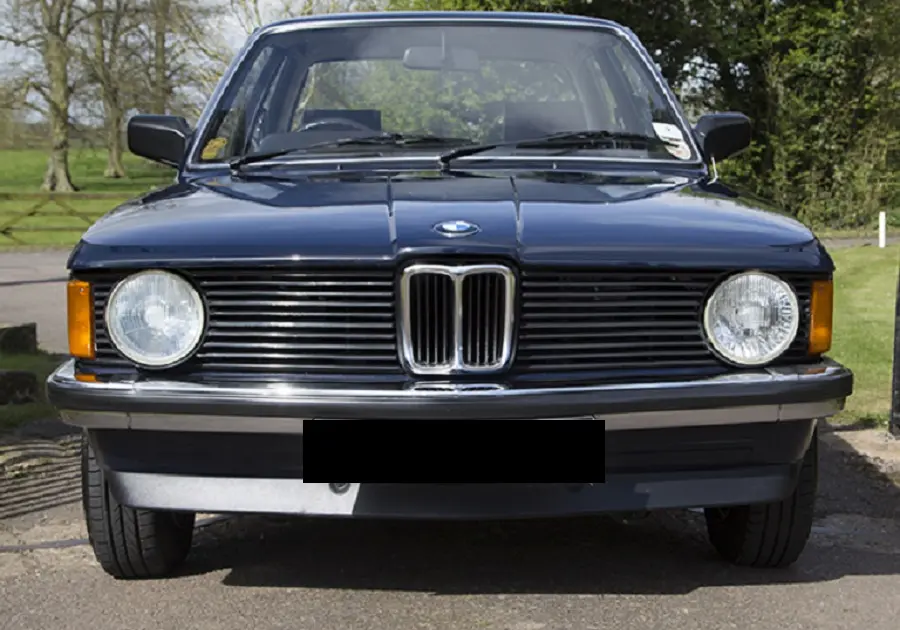 BMW 3 Serisi 3 Serisi 315 Standart 7