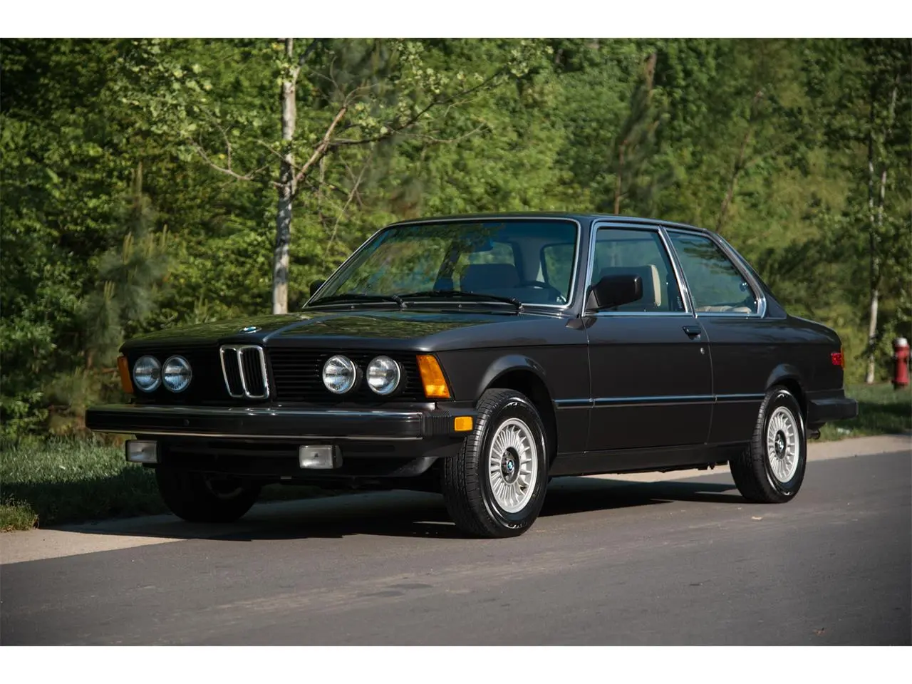 BMW 3 Serisi 3 Serisi 316 Standart 4