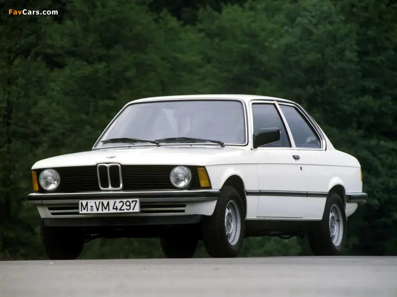 BMW 3 Serisi 3 Serisi 316 Standart 5