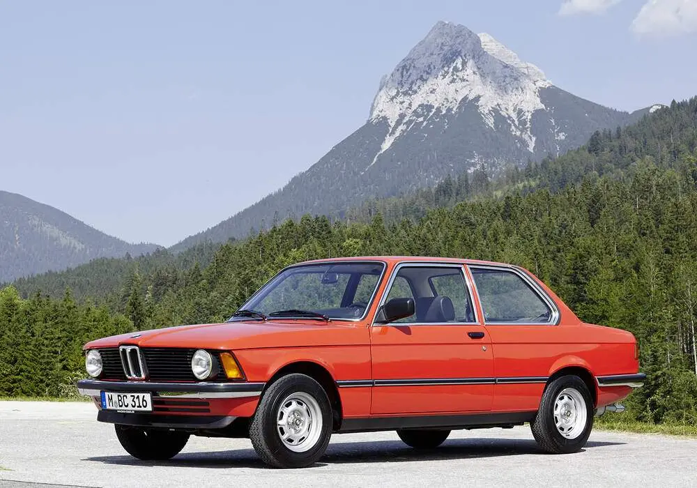 BMW 3 Serisi 3 Serisi 316 Standart 6