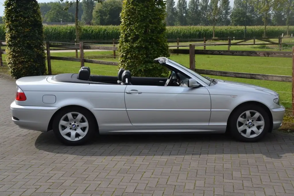 BMW 3 Serisi 3 Serisi 320Ci Standart 3