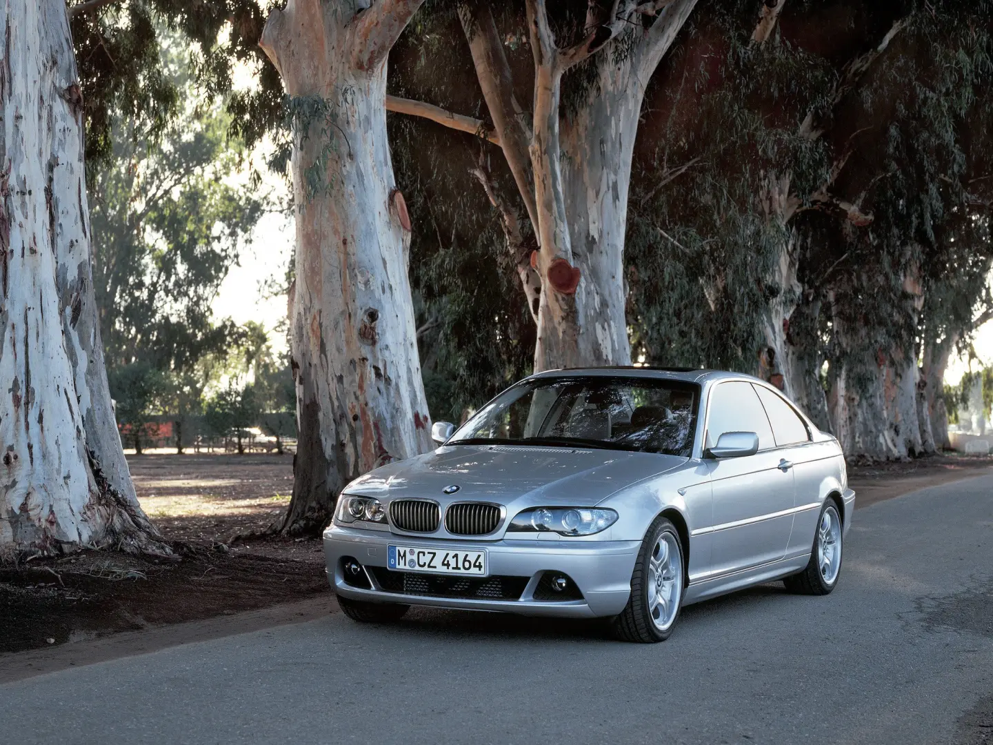 BMW 3 Serisi 3 Serisi 320Ci Standart 6