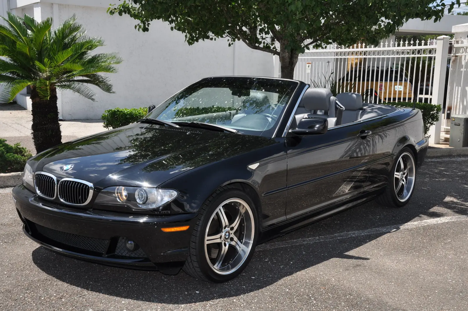 BMW 3 Serisi 3 Serisi 330Cd Standart 3