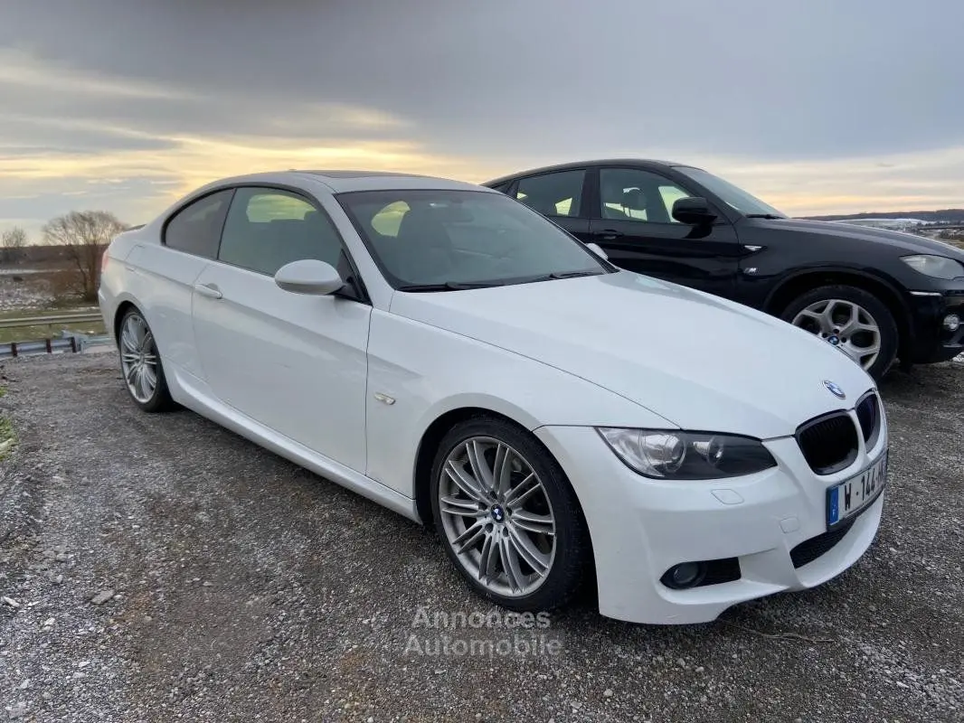 BMW 3 Serisi 3 Serisi 335xi Standart 3