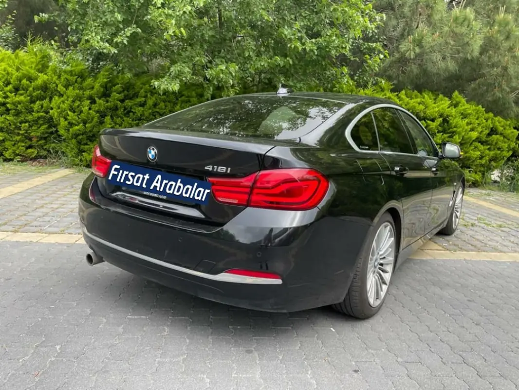 BMW 4 Serisi 4 Serisi 418i Luxury Line 1