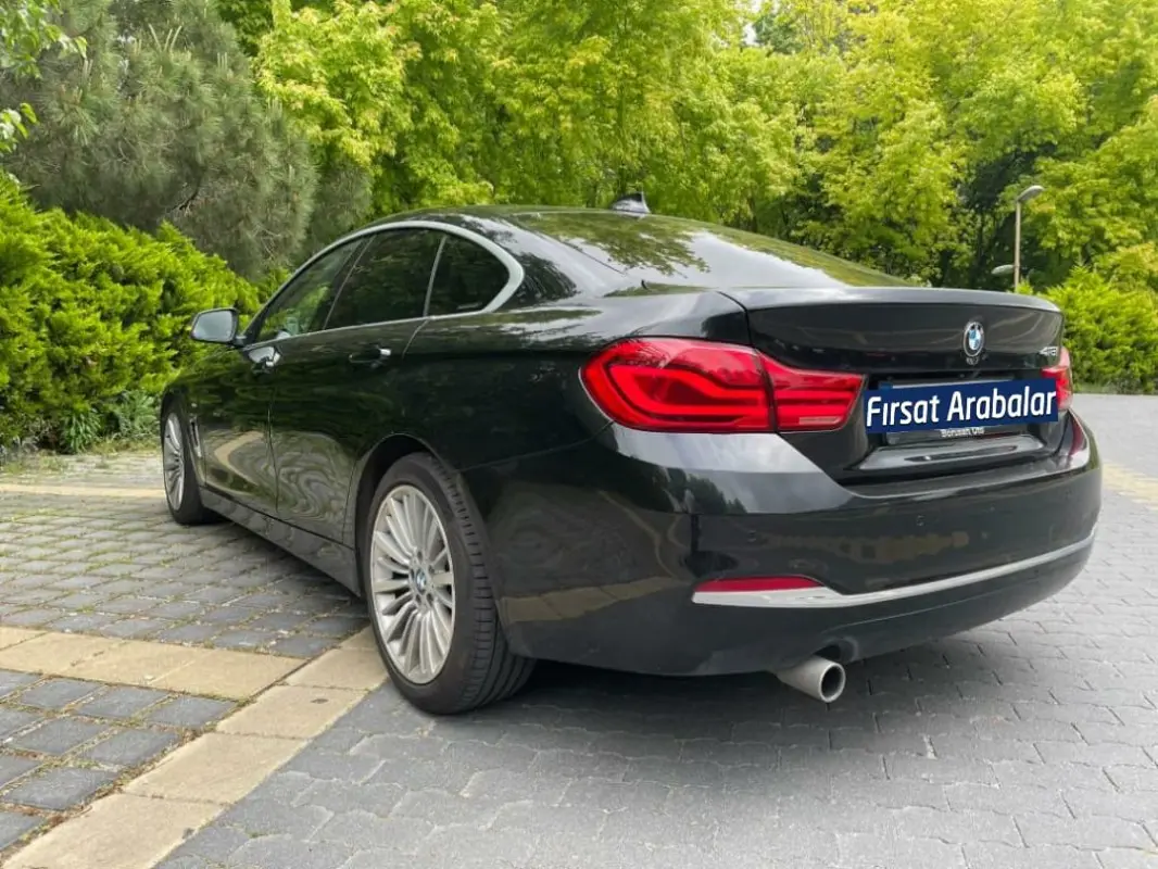 BMW 4 Serisi 4 Serisi 418i Luxury Line 2
