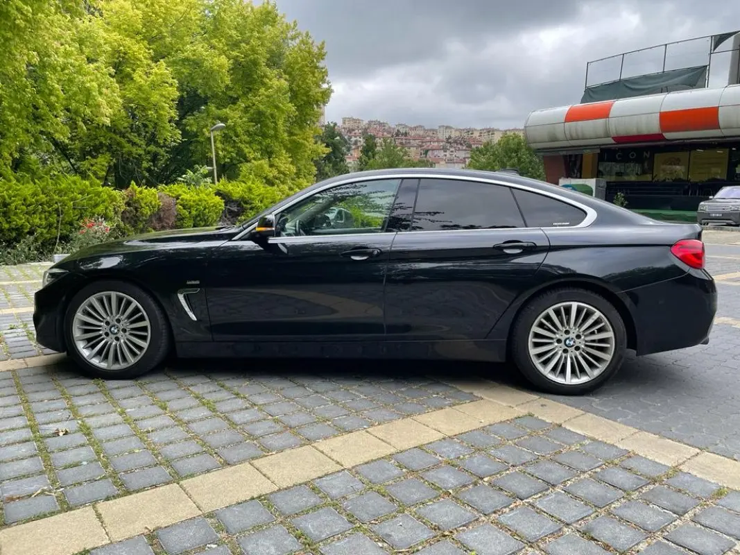 BMW 4 Serisi 4 Serisi 418i Luxury Line 3