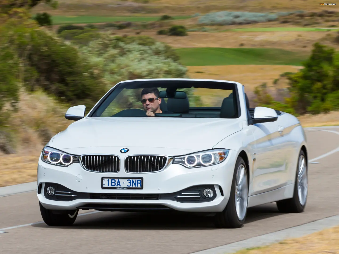 BMW 4 Serisi 4 Serisi 420d Vision 1