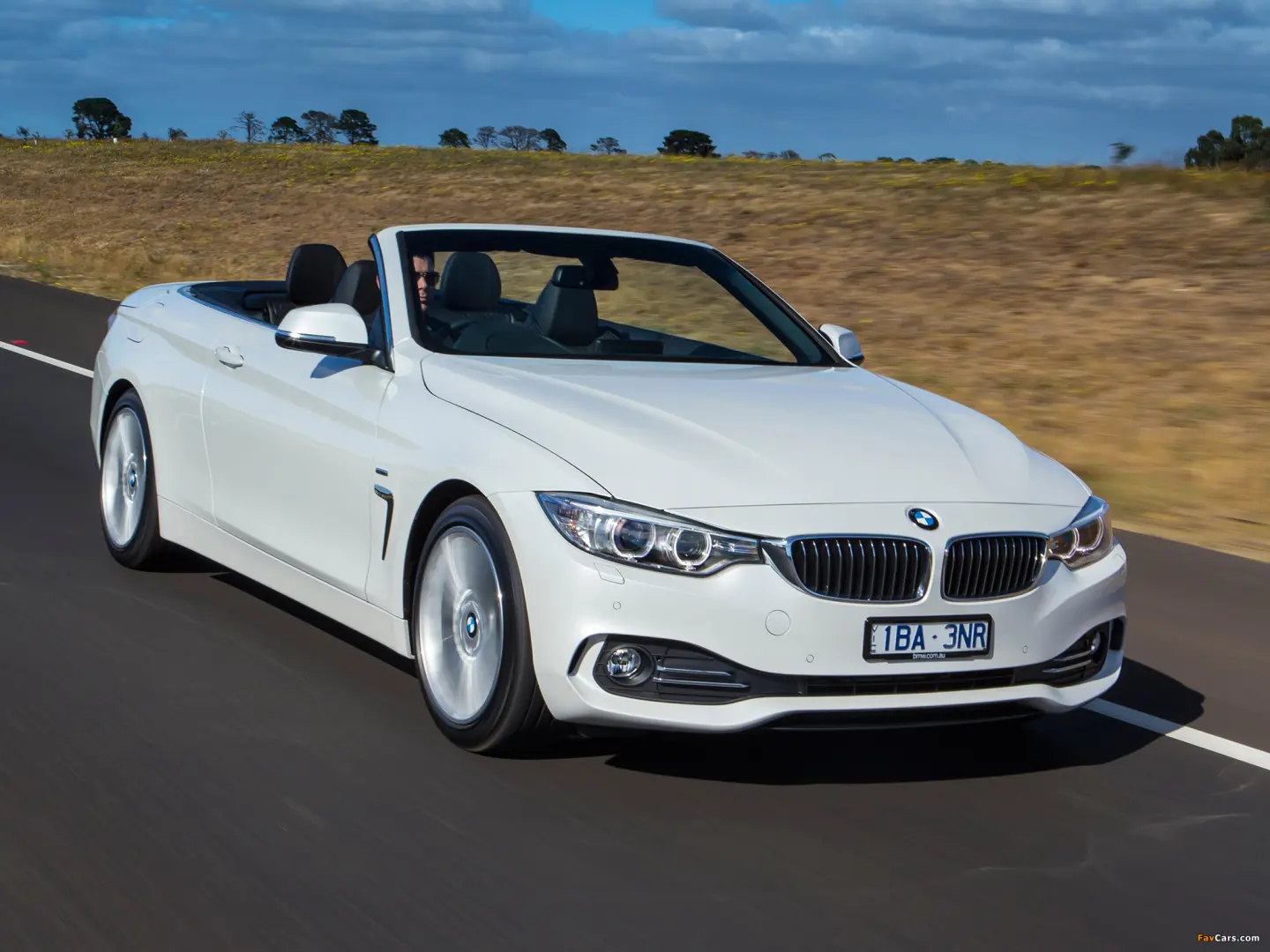 BMW 4 Serisi 4 Serisi 420d Vision 2
