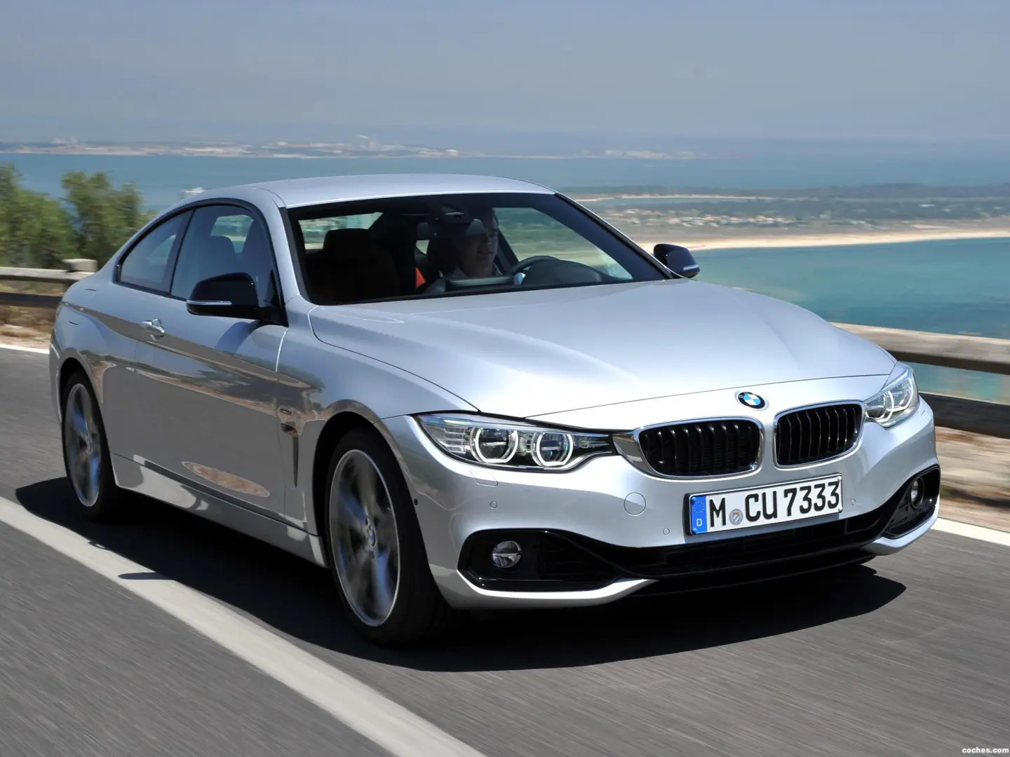BMW 4 Serisi 4 Serisi 420d Vision 4
