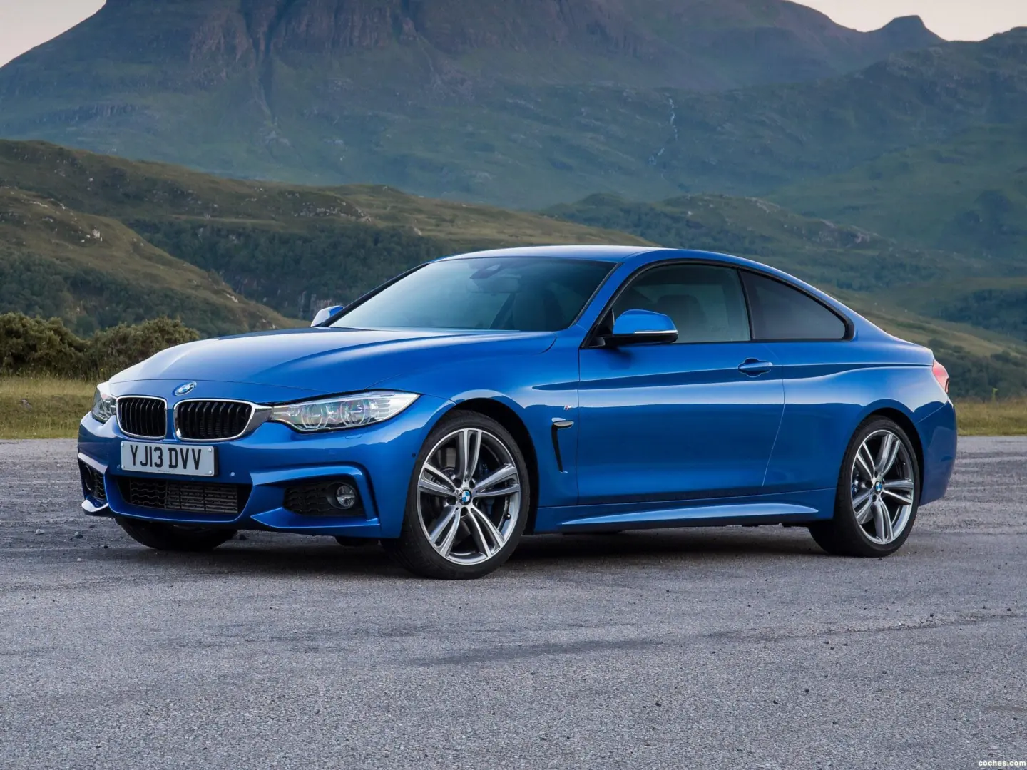 BMW 4 Serisi 4 Serisi 420d Vision 5