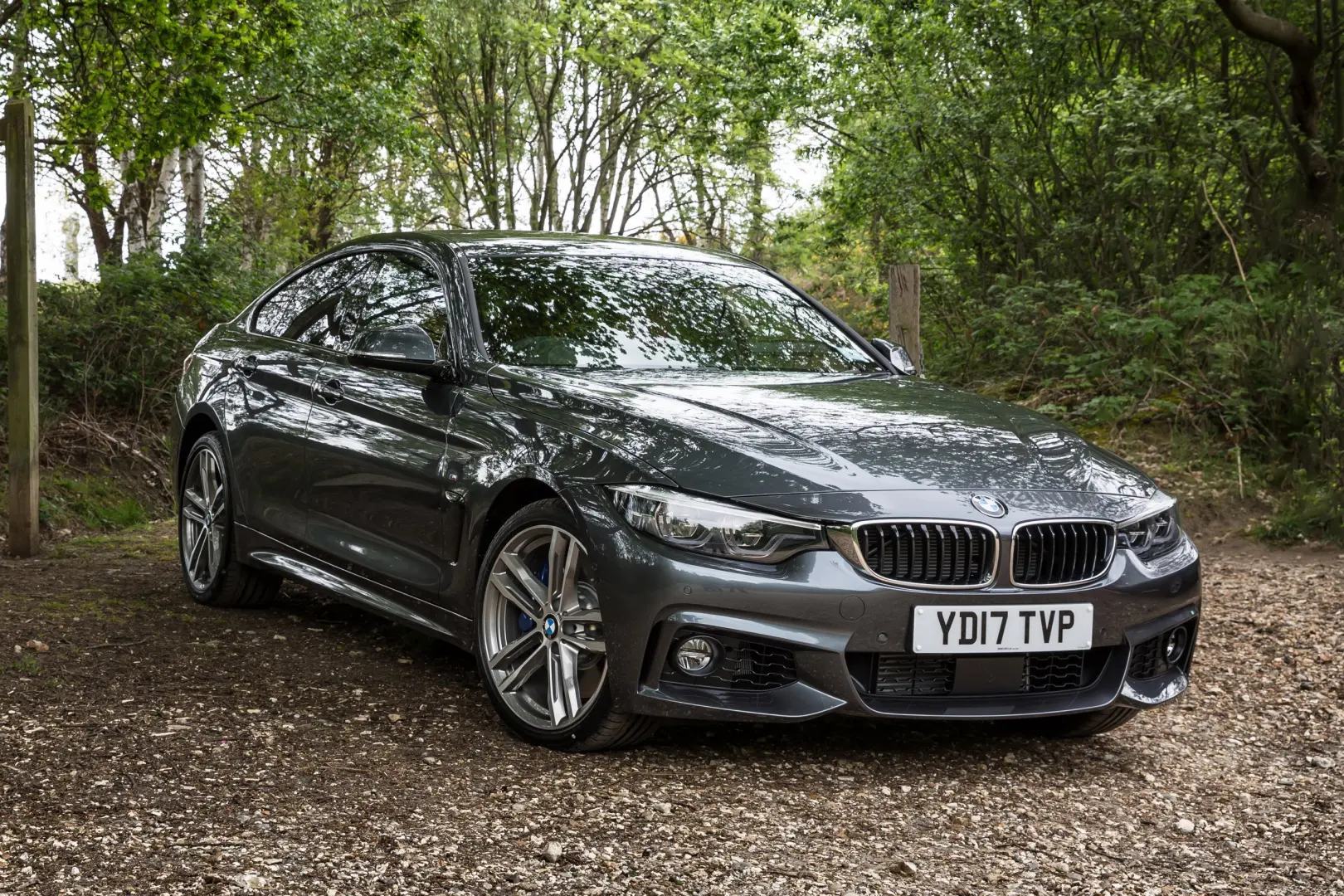 BMW 4 Serisi 4 Serisi 420d Standart 4
