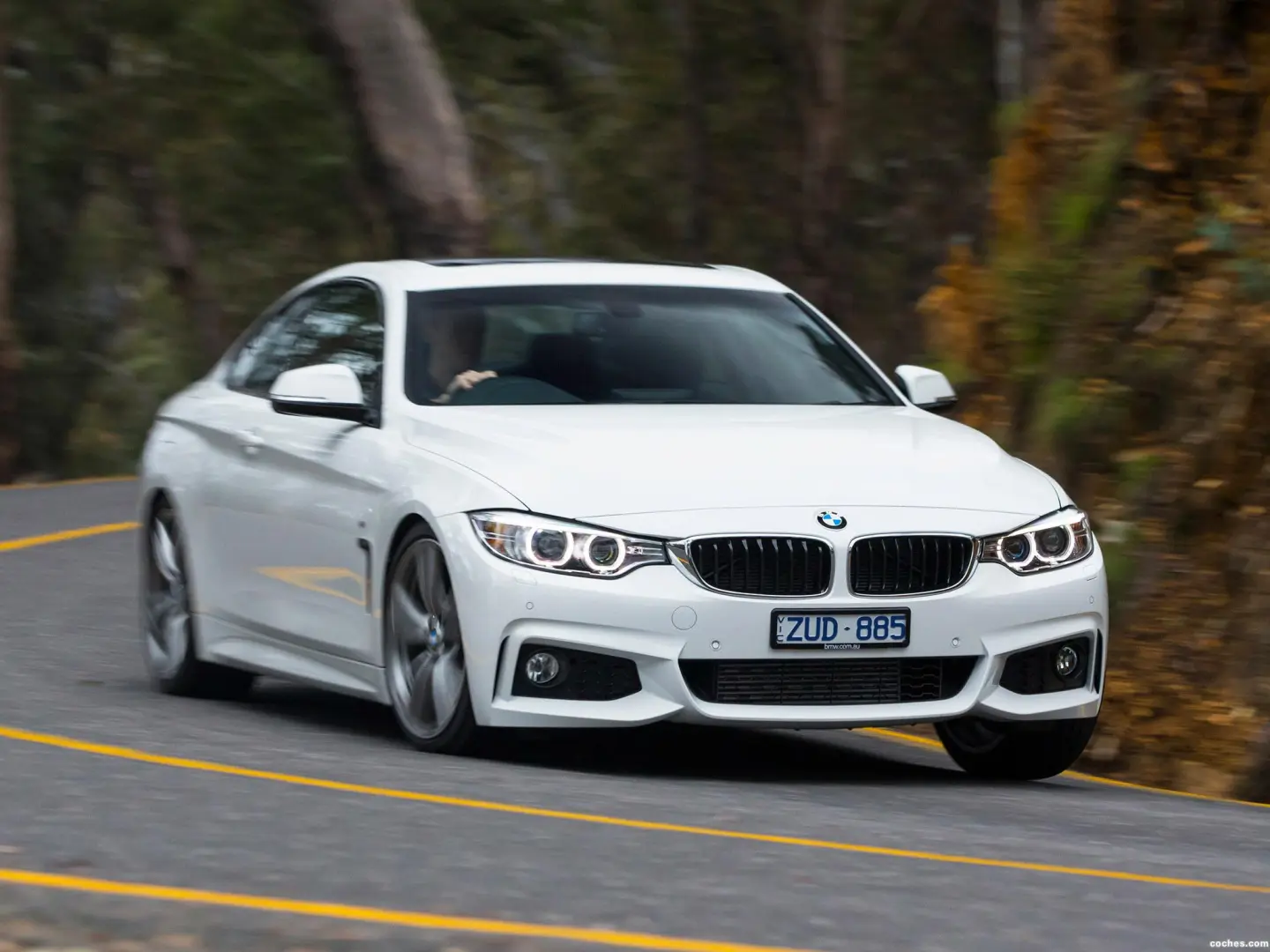 BMW 4 Serisi 4 Serisi 420d Standart 5