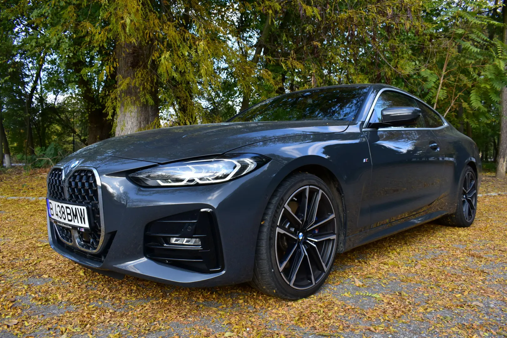 BMW 4 Serisi 4 Serisi 420d xDrive Pure 7