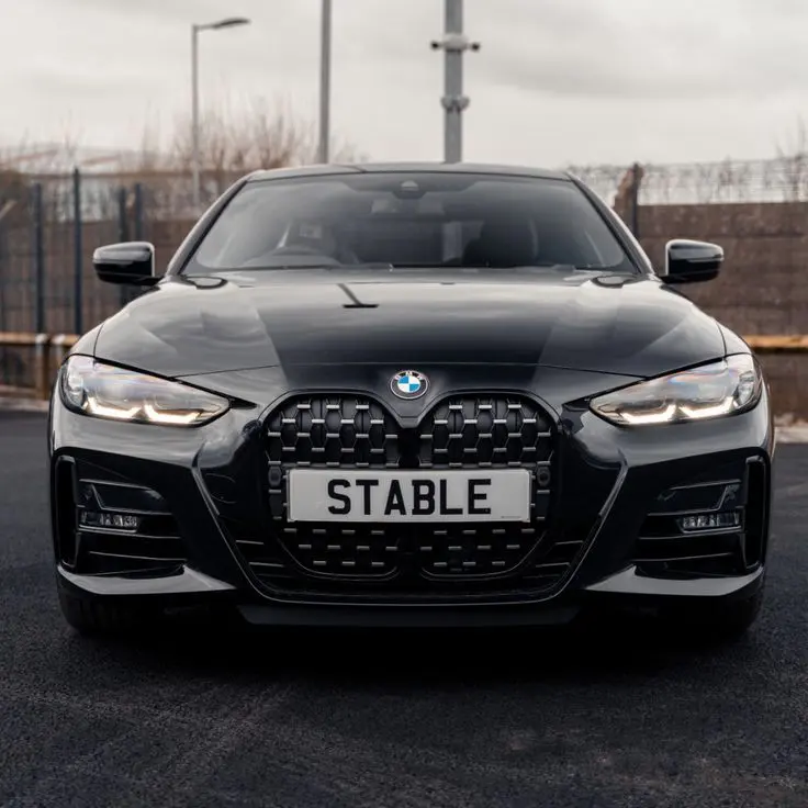 BMW 4 Serisi 4 Serisi 420i M Sport Coupe 5
