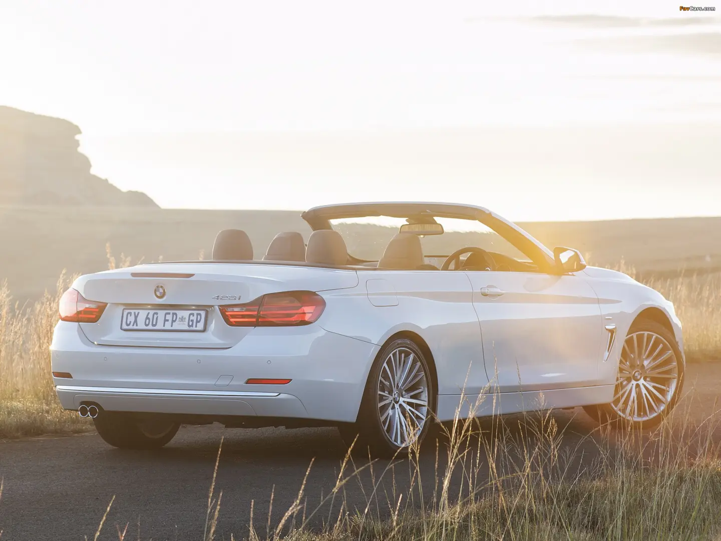 BMW 4 Serisi 4 Serisi 428i Luxury Line 5