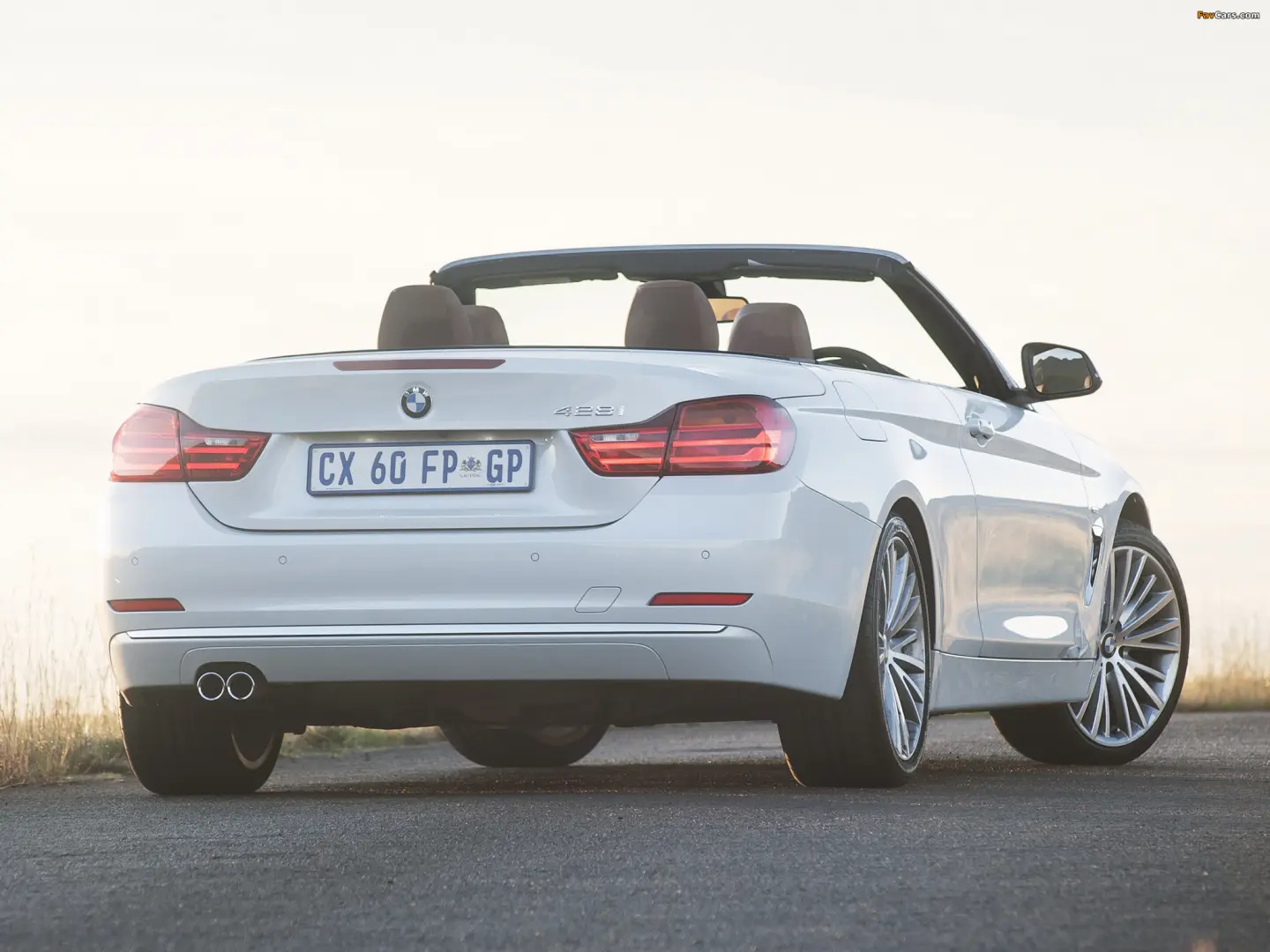 BMW 4 Serisi 4 Serisi 428i Vision 6